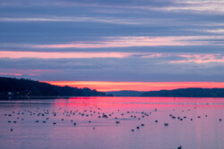 Kolding Fjord solopgang