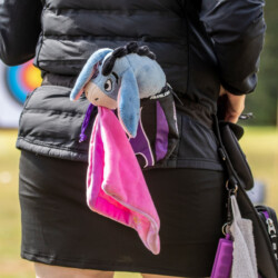 Mascot